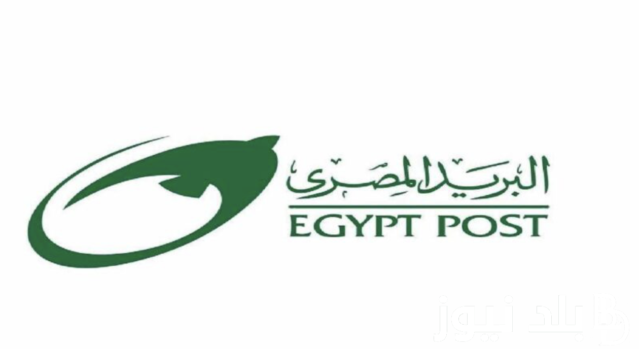 رابط تقديم وظائف البريد المصري 2024 عبر بوابة الوظائف الحكوميه jobs.caoa.gov.eg وشروط التقديم